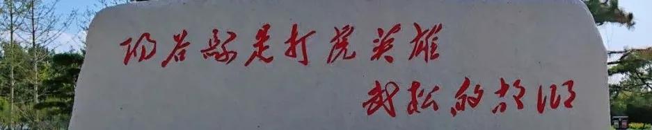 「纪念毛主席诞辰128周年」毛*东泽**主席五次谈阳谷