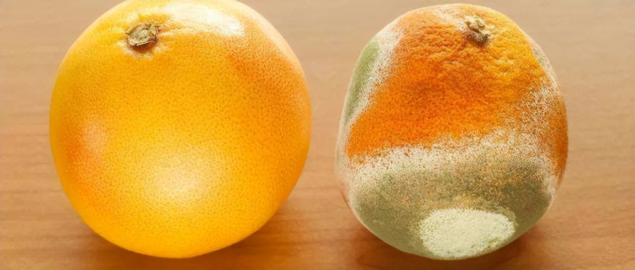 吃了发霉的水果会怎么样,吃腐烂发霉的水果的后果