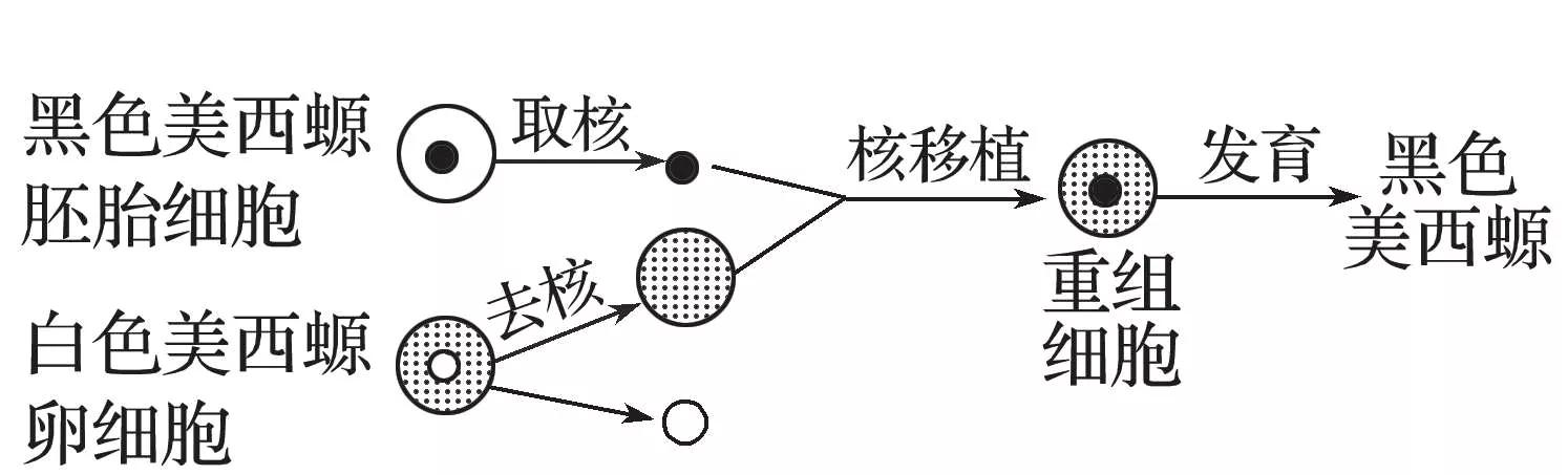 高中生物知识点易错音频,高中生物易错题400道