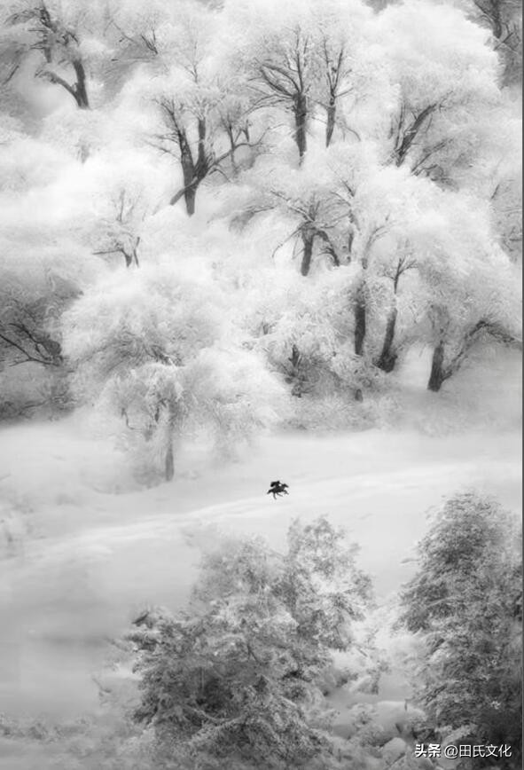 鐢版皬鏂囧寲缃戠粶骞冲彴,鐢版皬鏂囧寲浼犳壙骞冲彴