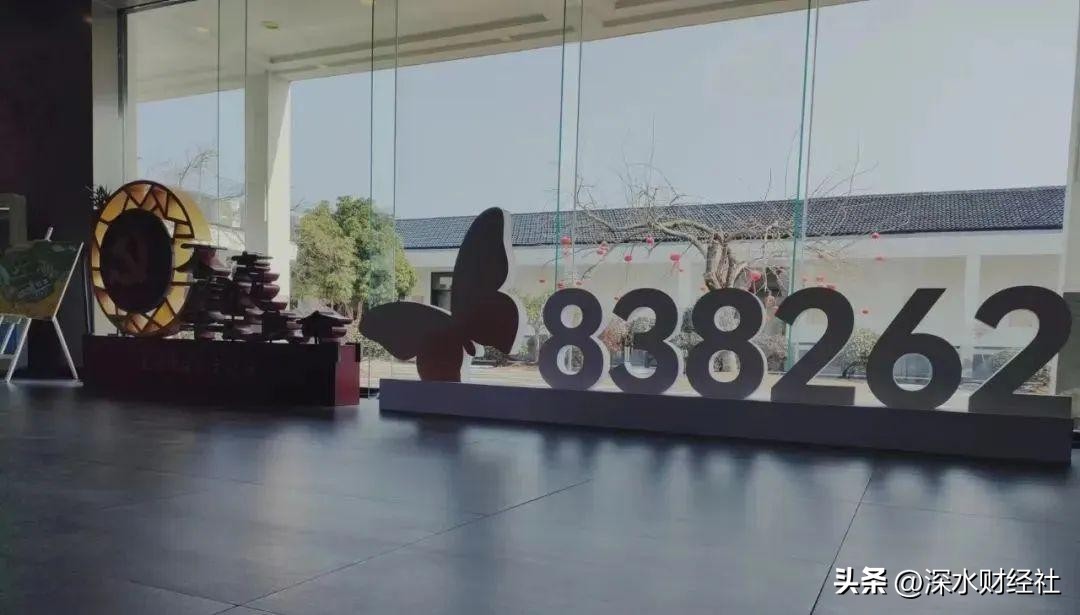 太湖雪蚕丝被生产厂在哪里,太湖雪蚕丝被是哪个公司