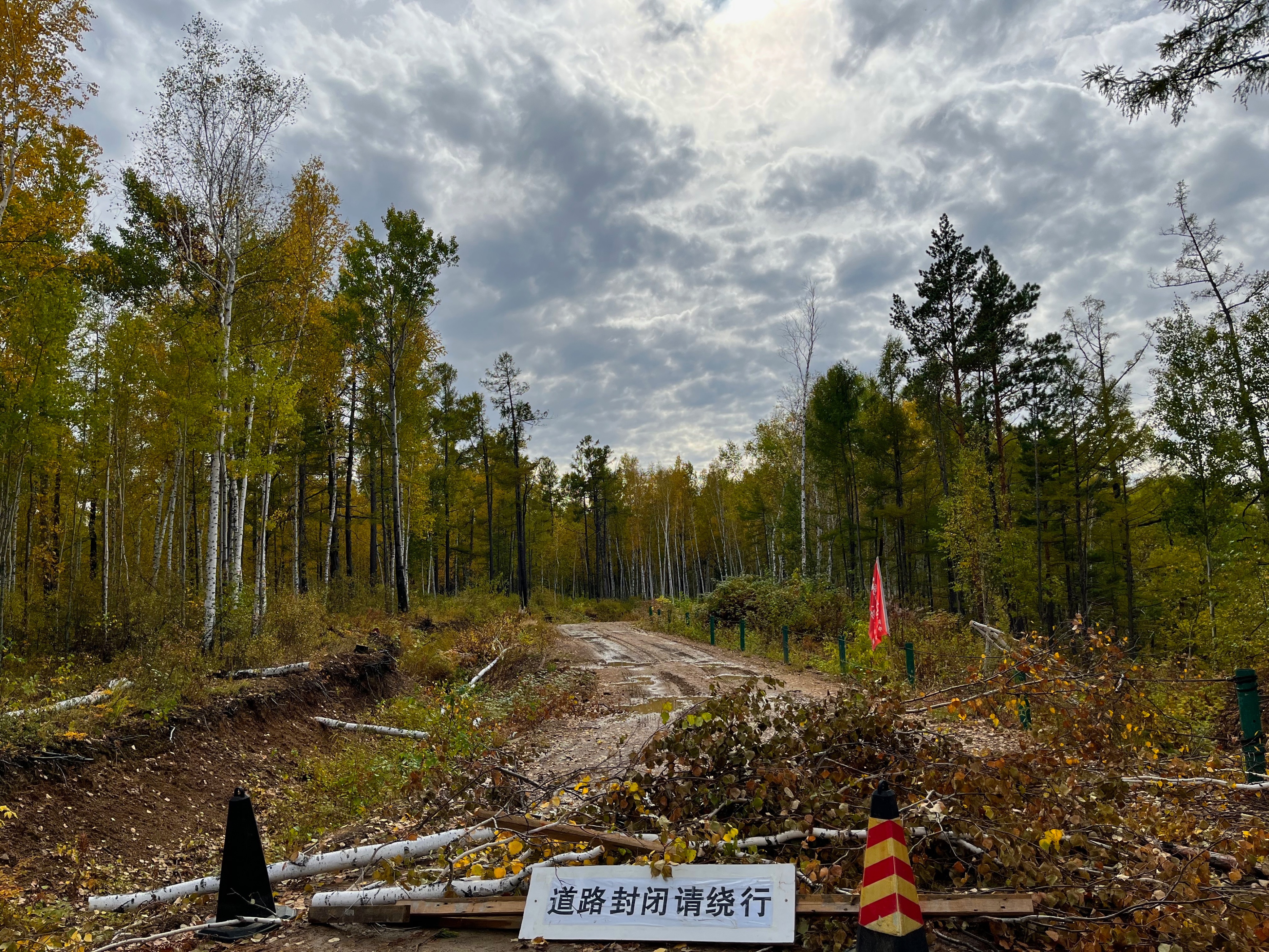 夫妻自驾11000公里,夫妻两人自驾游最新视频