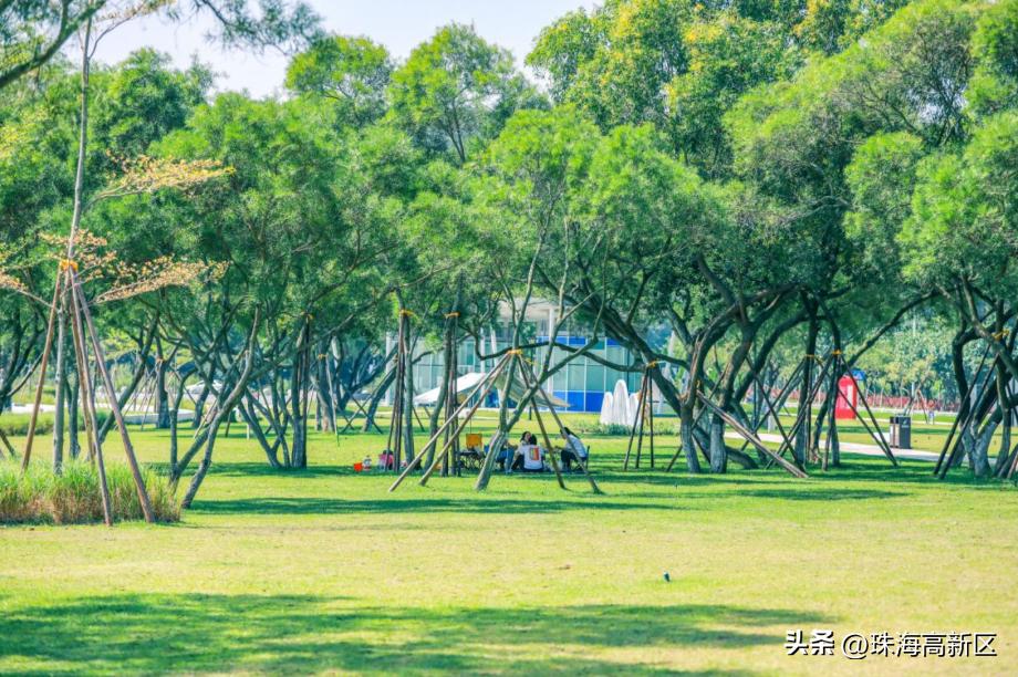 高新附近哪里可以露营,高新区户外露营