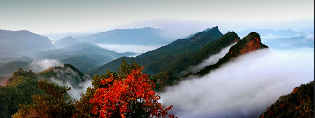 剑阁杯古树名木摄影大赛,保亭摄影比赛获奖作品