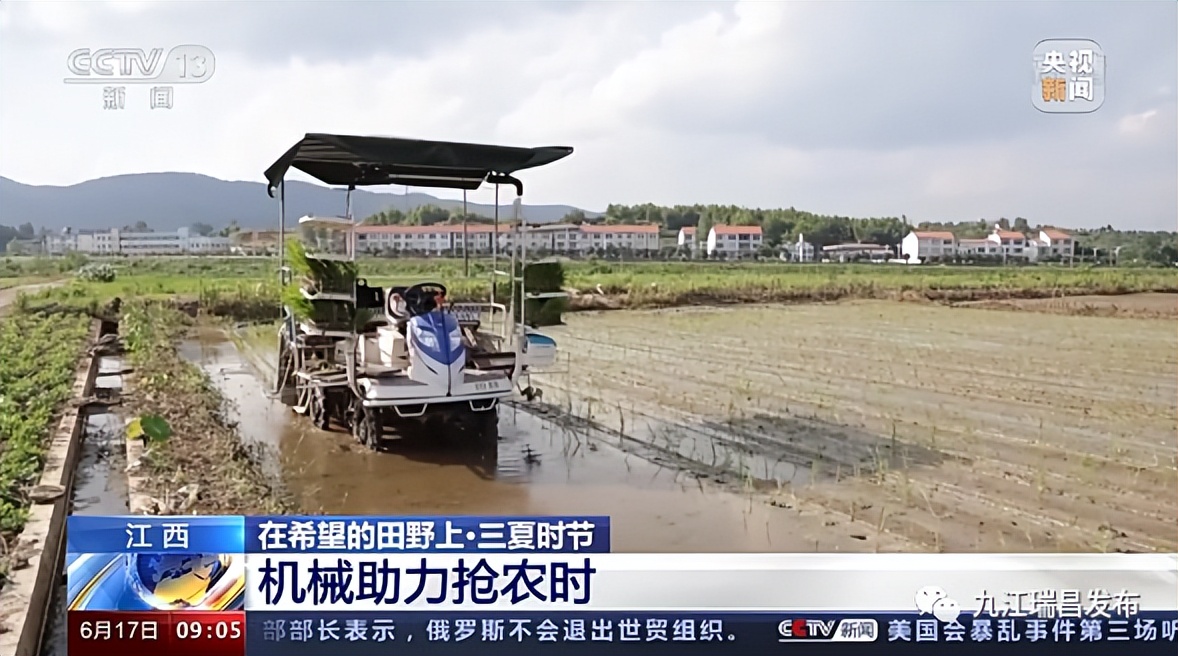 央媒看瑞昌丨一周内两次受央视关注！今日，央视《朝闻天下》和《新闻直播间》栏目关注我市智慧农业