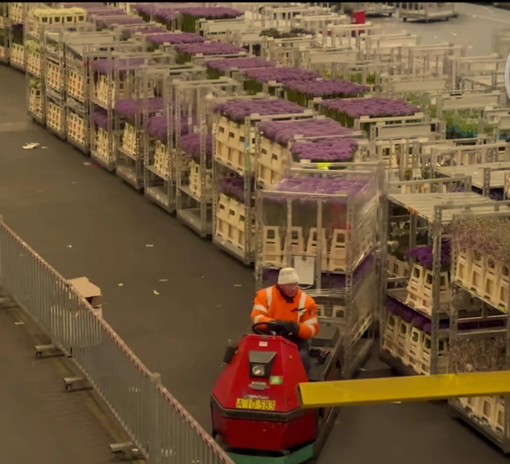 拍卖的创意茶壶,荷兰式拍卖钟