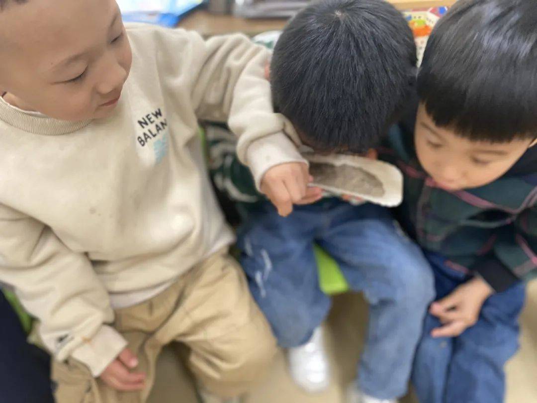 科学探索幼儿园小实验,建德诺亚舟幼儿园
