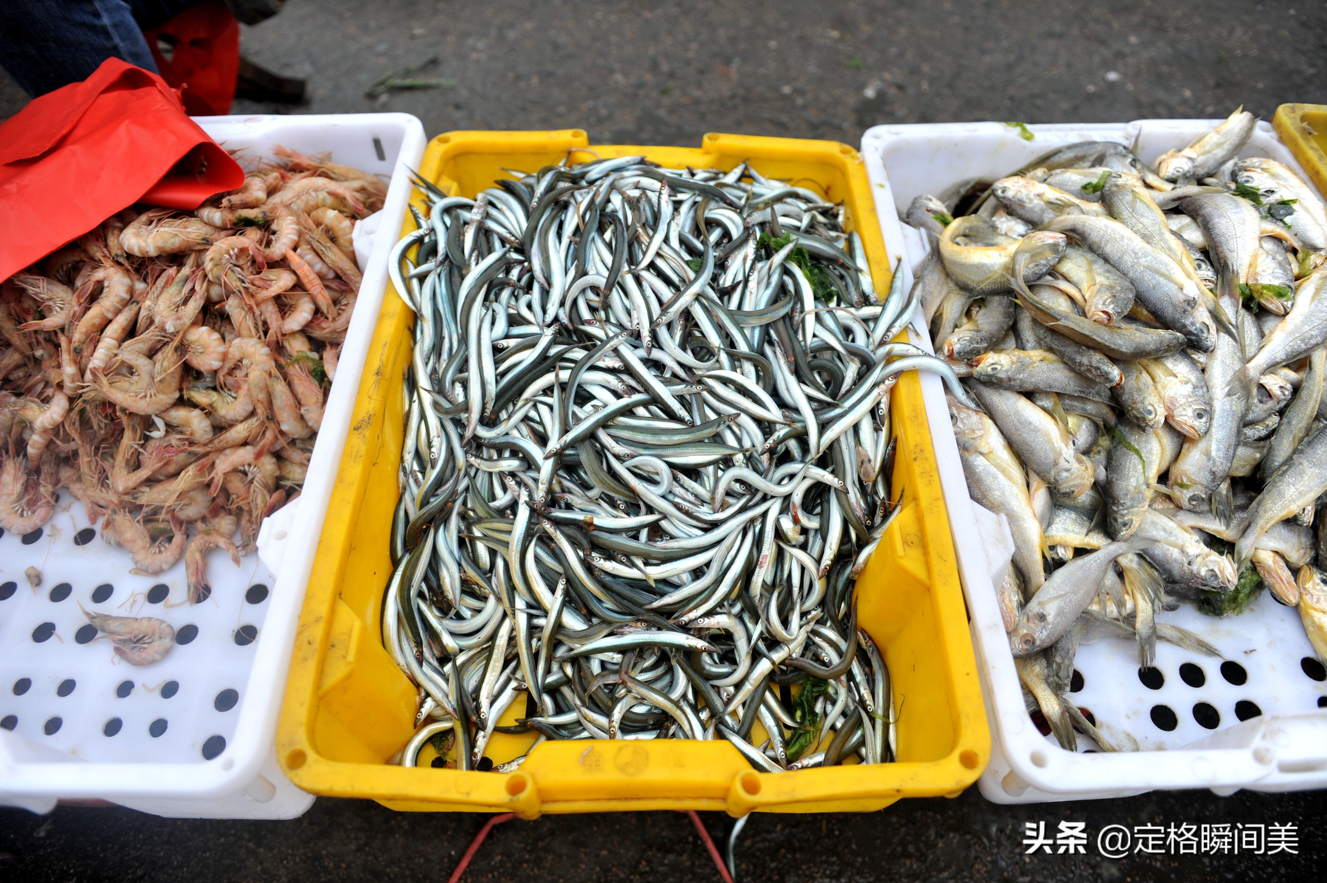 谷雨海鲜批发价格,谷雨在哪里买优惠力度比较大