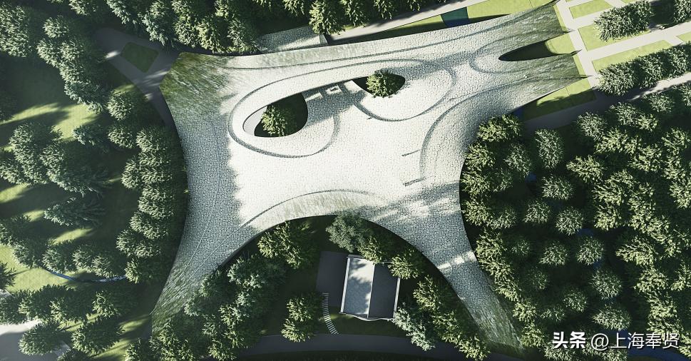 金海街道：大美金海，打造逐梦未来的世界级城市会客厅