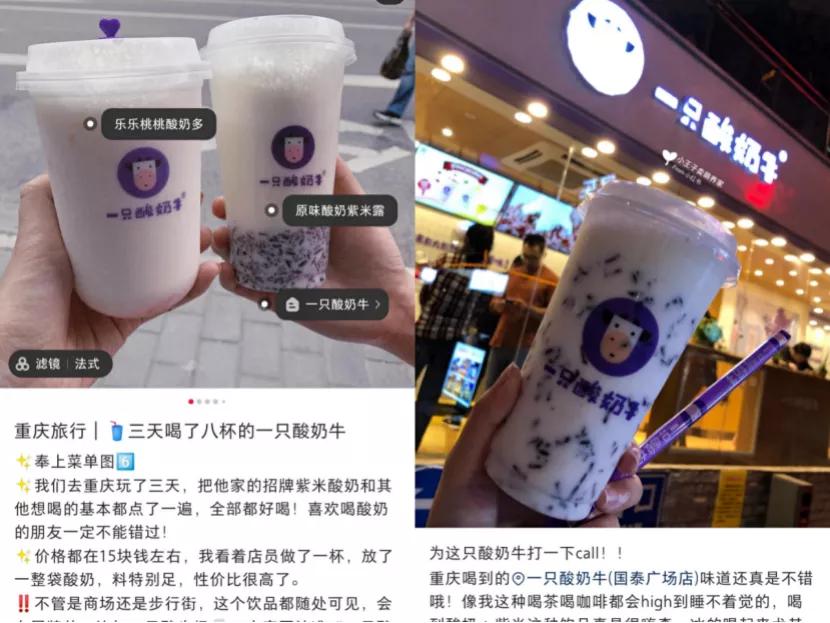 重庆一只酸奶牛风景视频,一只酸奶牛探店视频