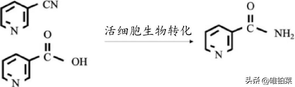 老树新芽能成材吗,老树能刻芽吗