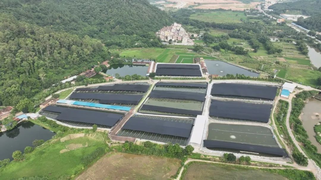 喜迎二十大丨东成镇：坚持*党**建引领走特色产业之路力促高质量发展