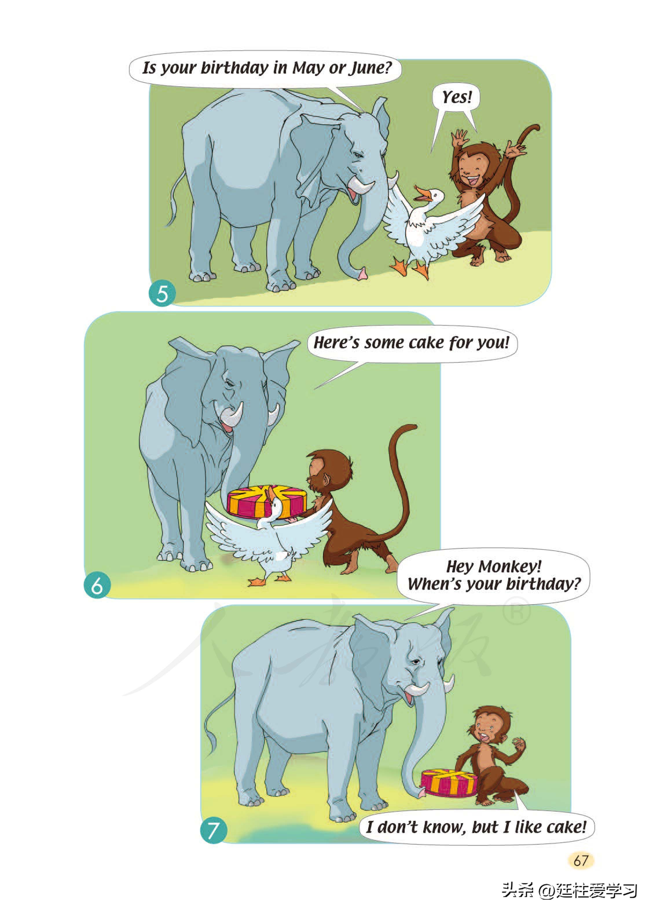 小学英语外研版三年级上册,小学英语精通版三年级上册