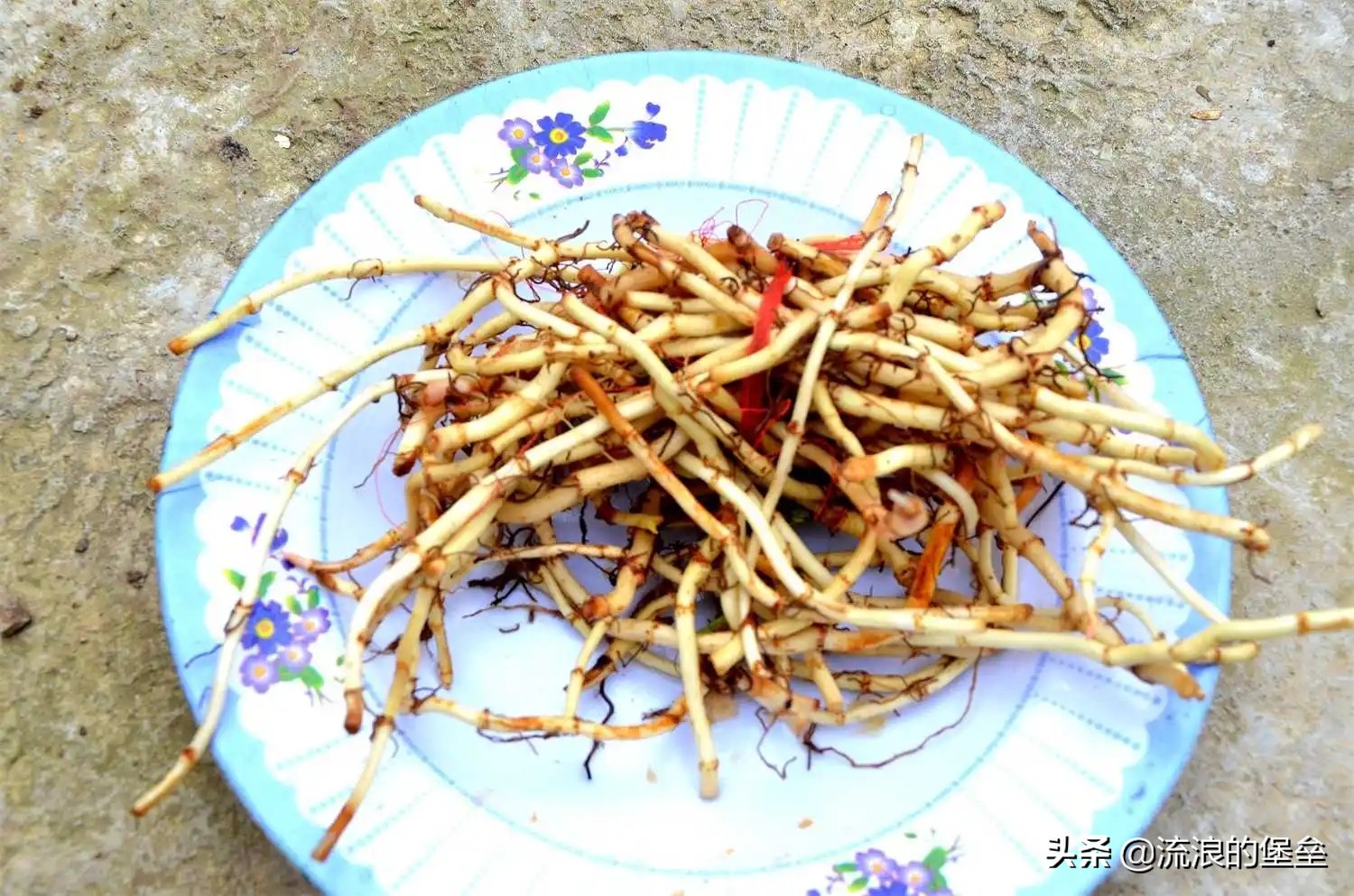 国内最不受人待见的四种特产美食,中国人最喜欢的十大美食