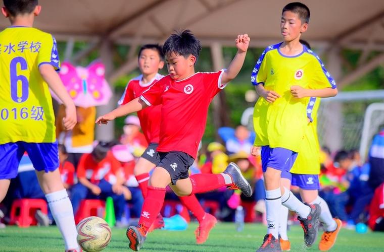 足球教育书籍,足球故事带给学生们的启发