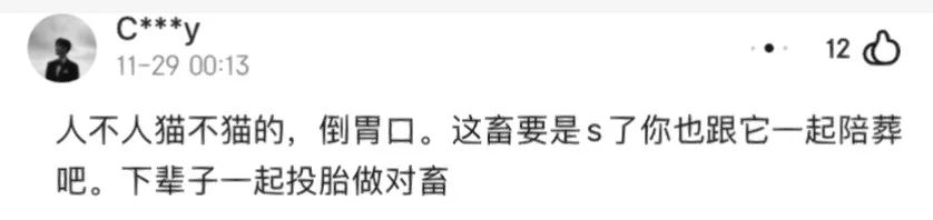 我在网店买三文鱼喂猫，结果被人网暴追骂两年，还造黄谣！