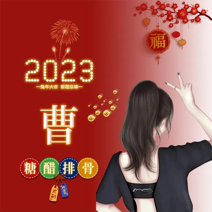 姓氏头像张女生专用喜庆点的,新年喜庆傅姓氏头像图片大全