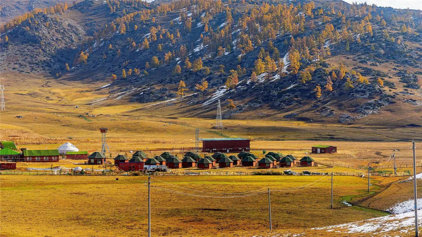 日本访疆代表团,日本访疆