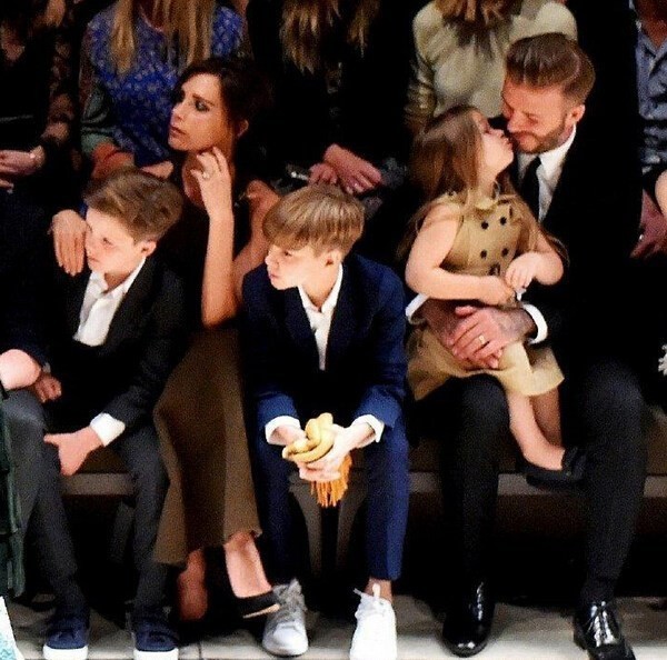 贝小七被宠上天,贝小七成长