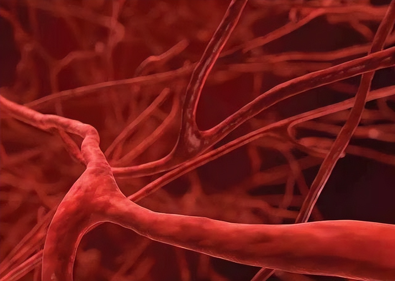 男性长期不喝酒对身体有什么影响,男性长时间不运动会有什么影响