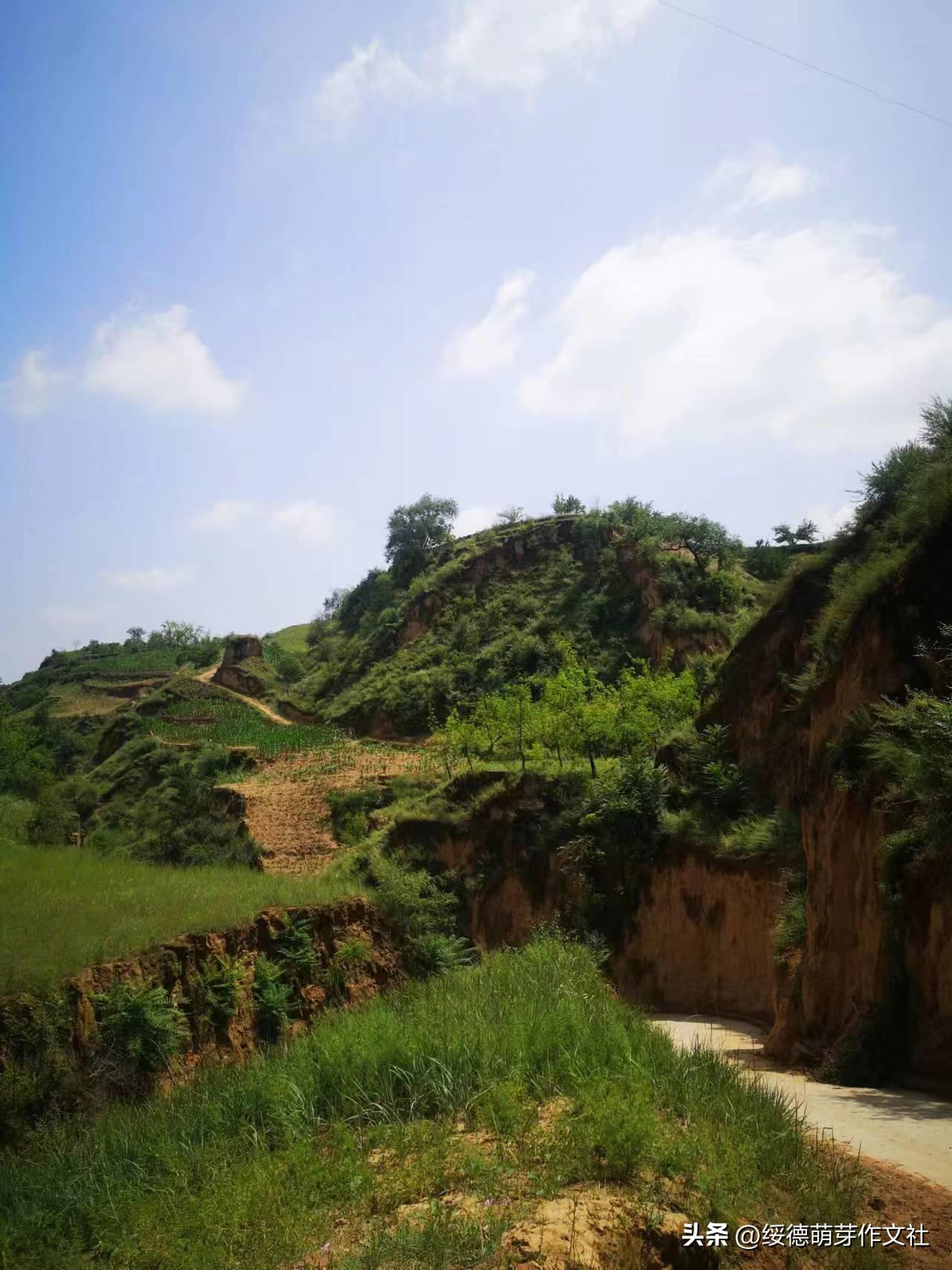 绥德李强国：从高舍硷到高石角