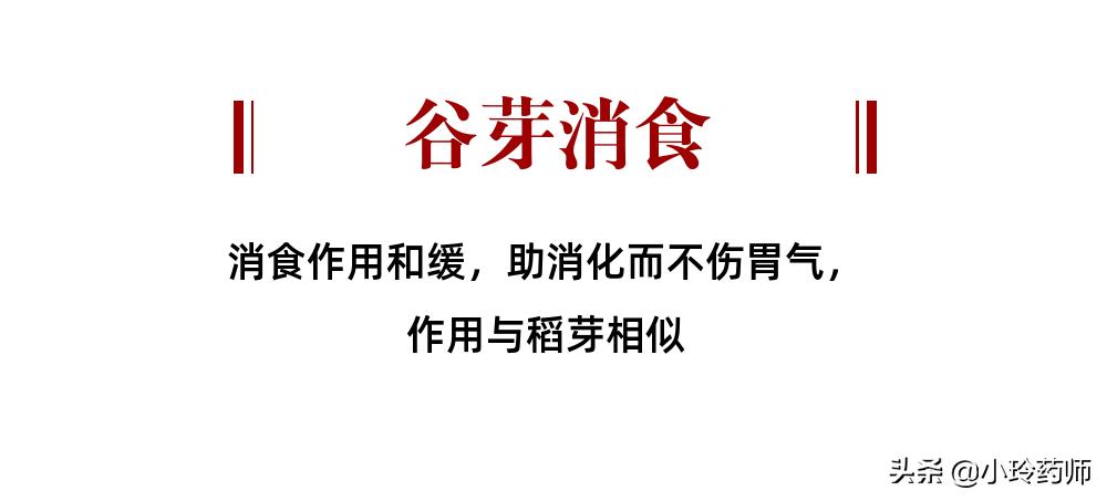 中医消食食物,消食中药药膳