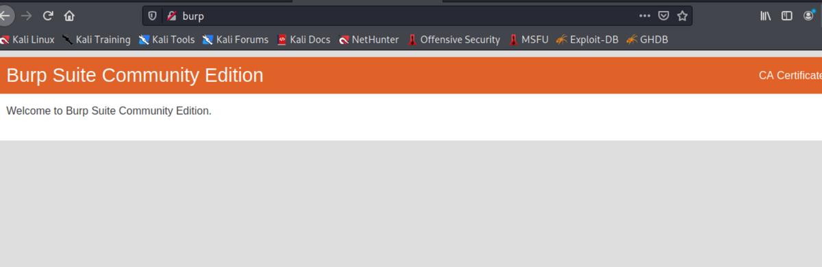 kali中burpsuite怎么汉化,kali里面自带burpsuite吗