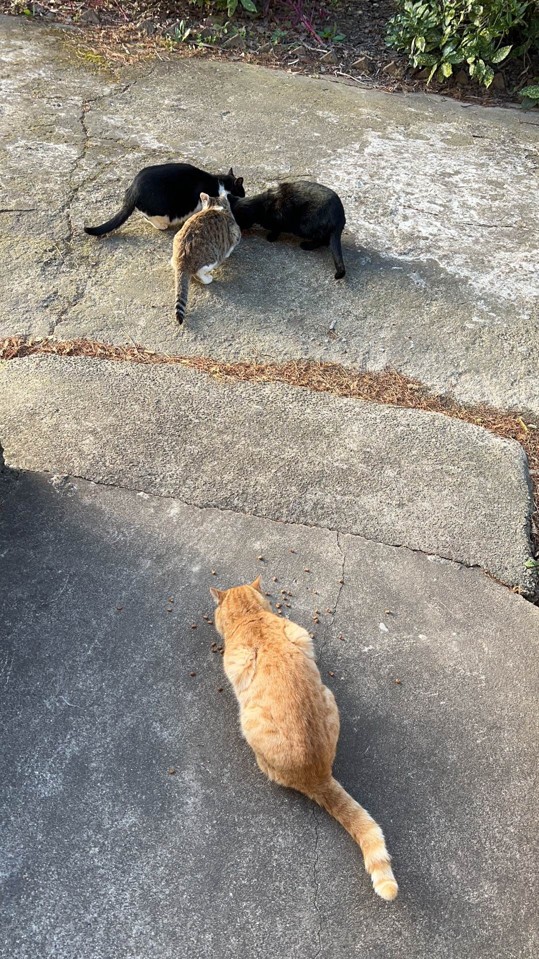 时过一年，又来翻包了——魔都土著老汉的EDC