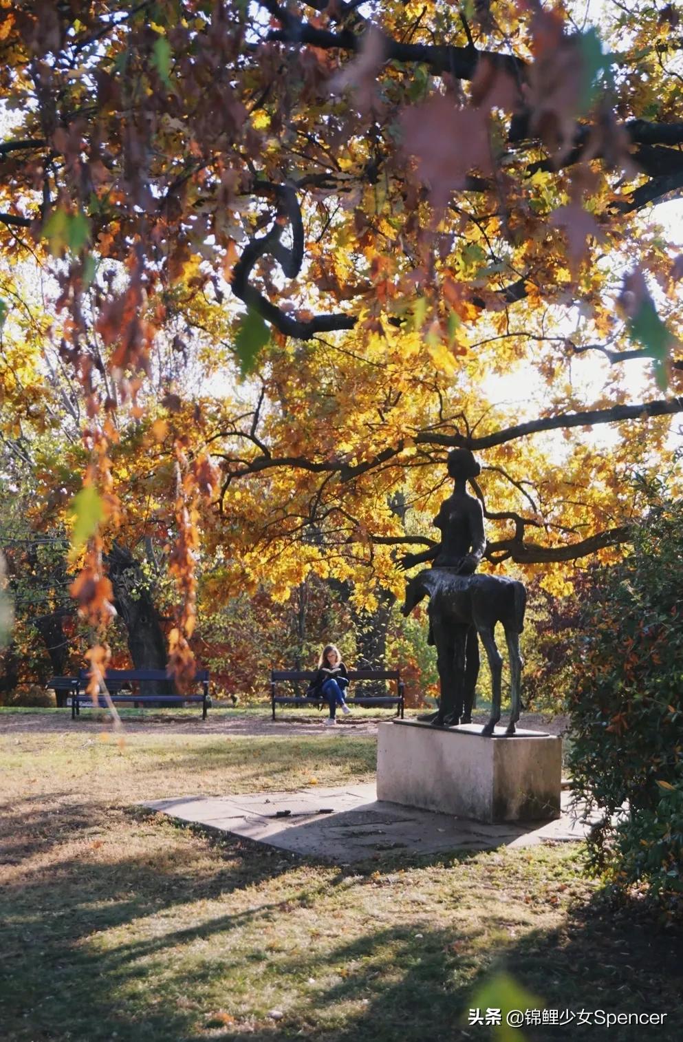 我在布达佩斯，收集了很多秋天送给你