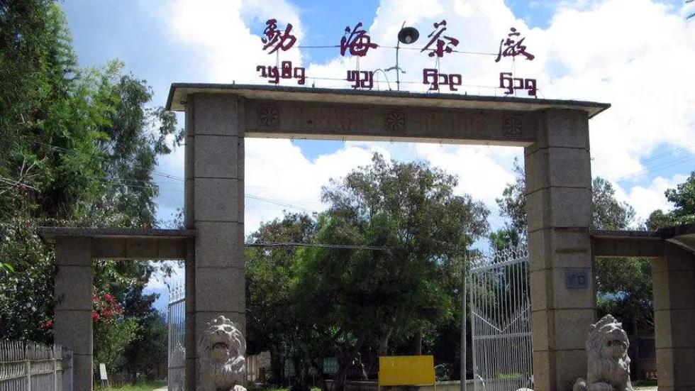 大益茶和茅台,茅台和大益普洱茶