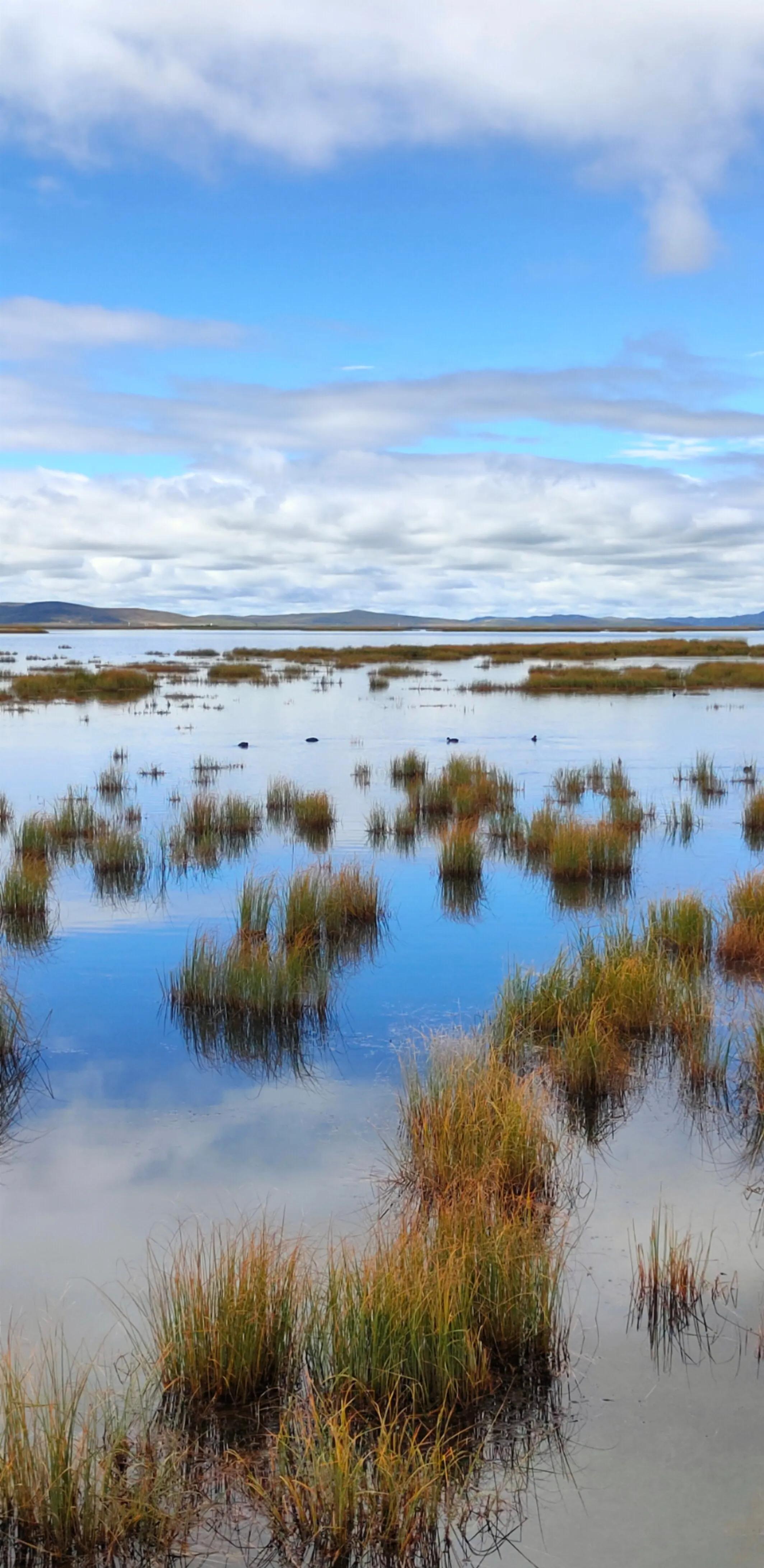 手拍世界手机摄影平台,手拍世界摄影网