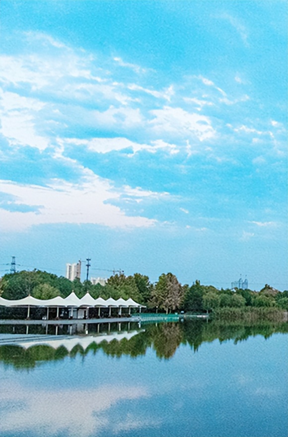 【我喜欢的小动物】王淑迪《我的动物朋友——小仓鼠》（三十六）