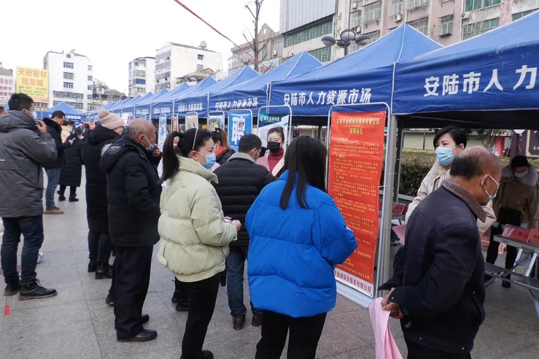 安陆举办“春风行动”首场招聘会6000多个岗位“职”等你来