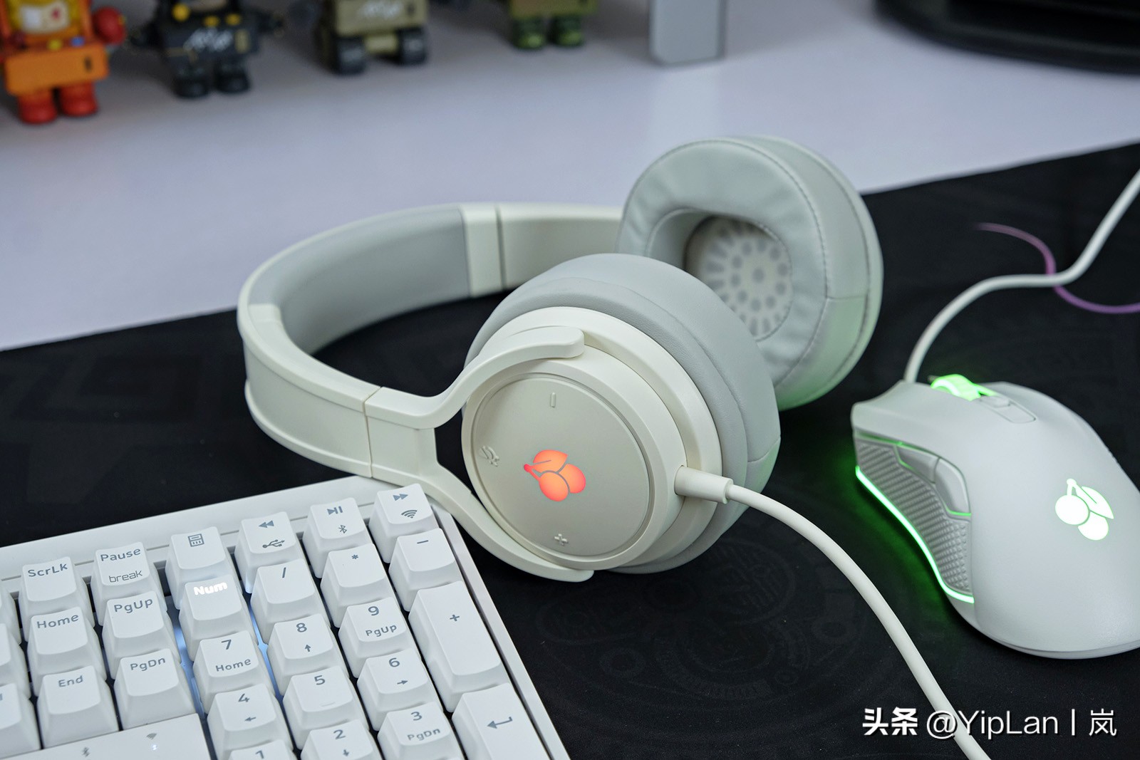 cherry澶栬鎺ㄨ崘,cherry澶栬鍜嬫牱