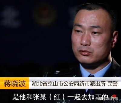 湖北母女被抛尸案,林场杀人案背后的故事