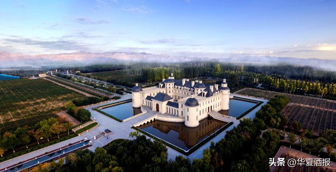 福布斯2024,福布斯2025