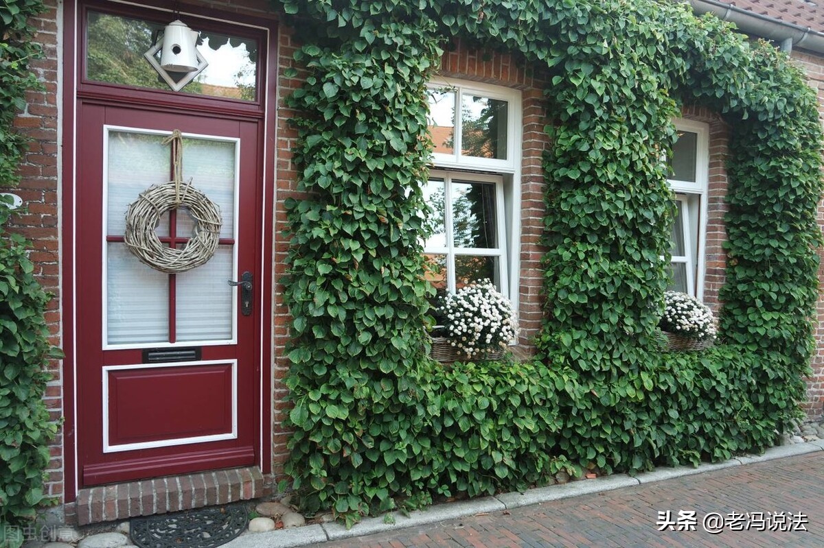 在出租房意外死亡房东有没有责任,租客在屋内受伤向房东索赔