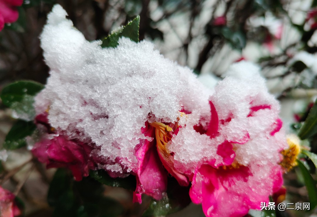 无锡新区鸿山旅游攻略,无锡鸿山有什么好玩的