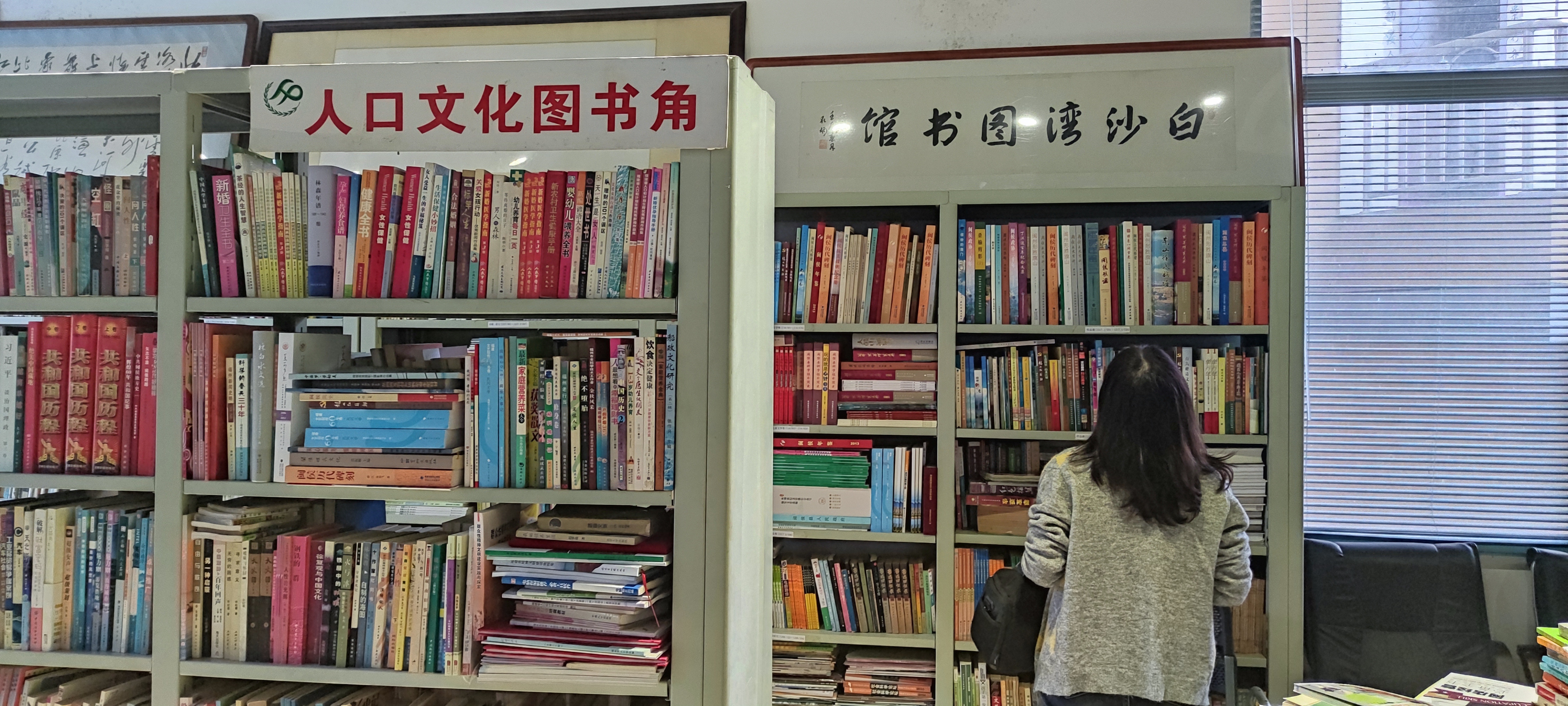 林岳铿,林岳铿闽侯