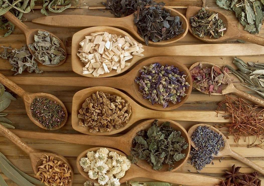 从《伤寒杂病论》中治疗肾病的经方诠释中药四气五味理论