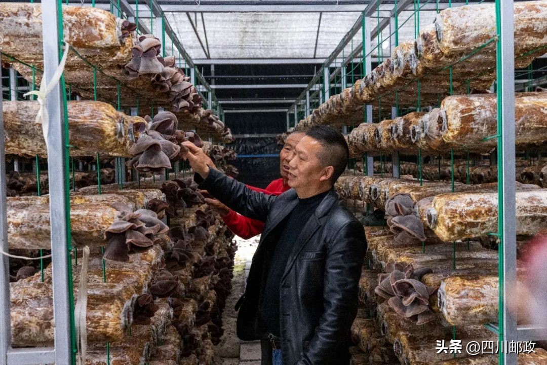 什邡师古乡村振兴,西部贫困县如何做好乡村振兴