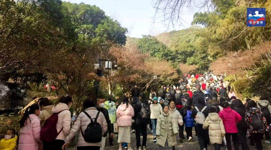 五一岳麓山橘子洲再发提醒,今天长沙岳麓山最新状况