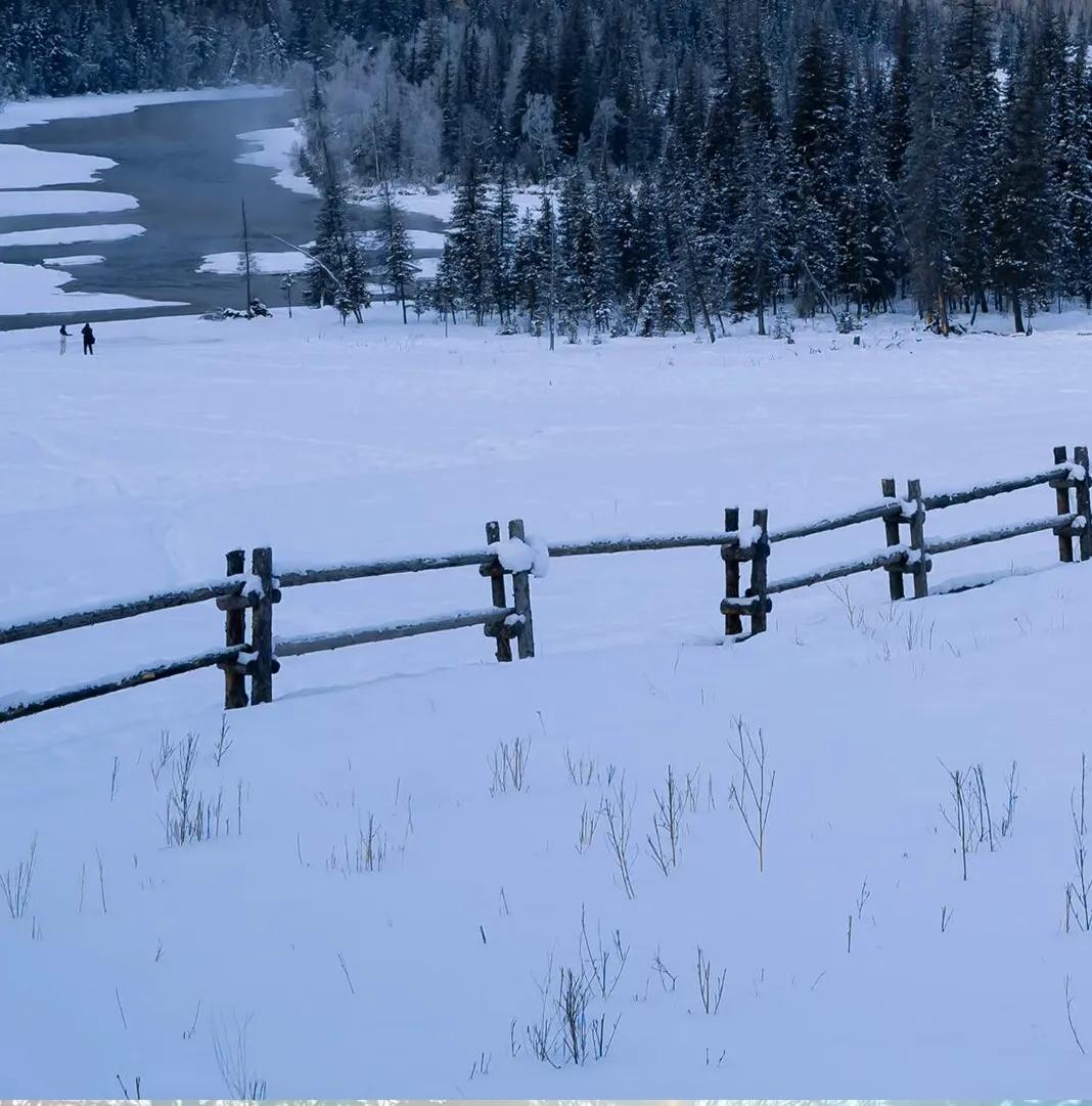 那些惊艳的香水广告词,惊艳香水广告文案分析