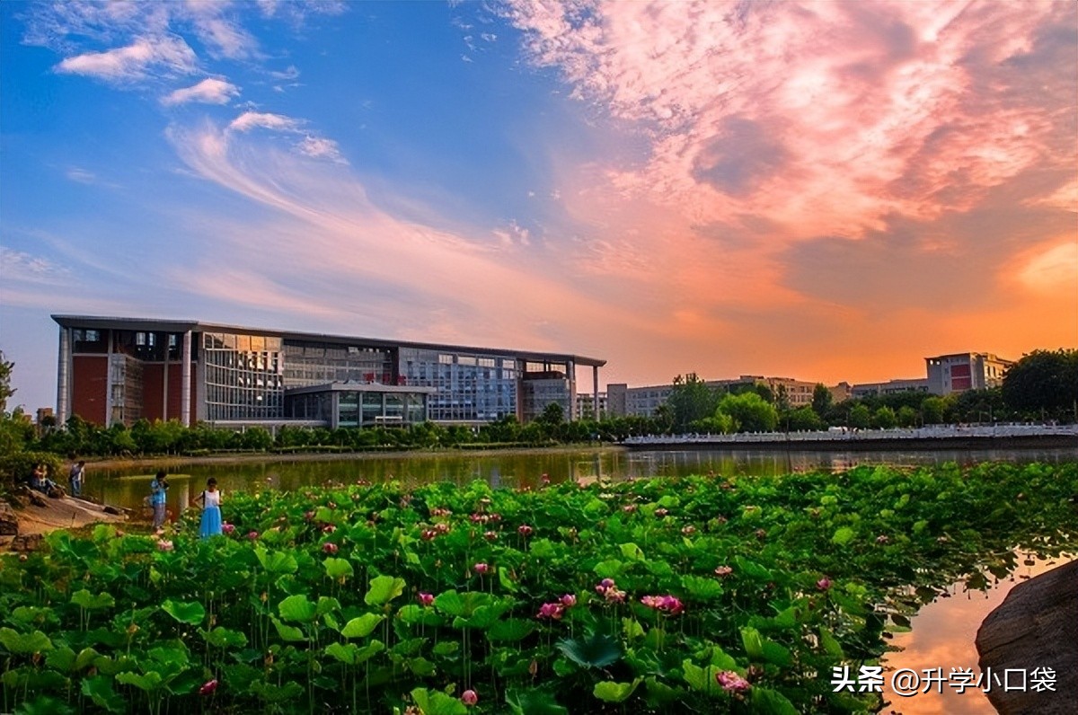 重庆高校保研率排名，重庆医科大学保研率9%，排名第三