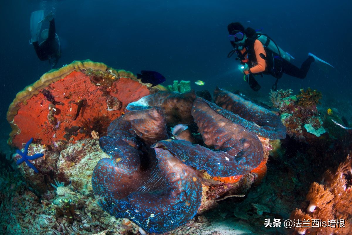 广西精致螺形勺子测评,螺形勺子有毒吗