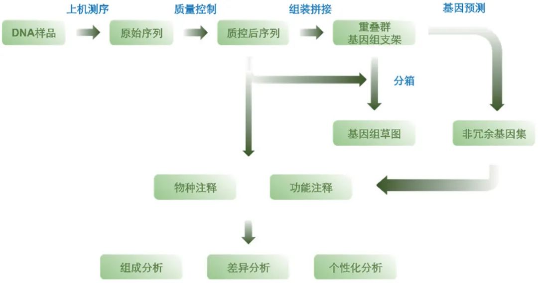 宏基因组阿尔法多样性分析,宏基因组β多样性