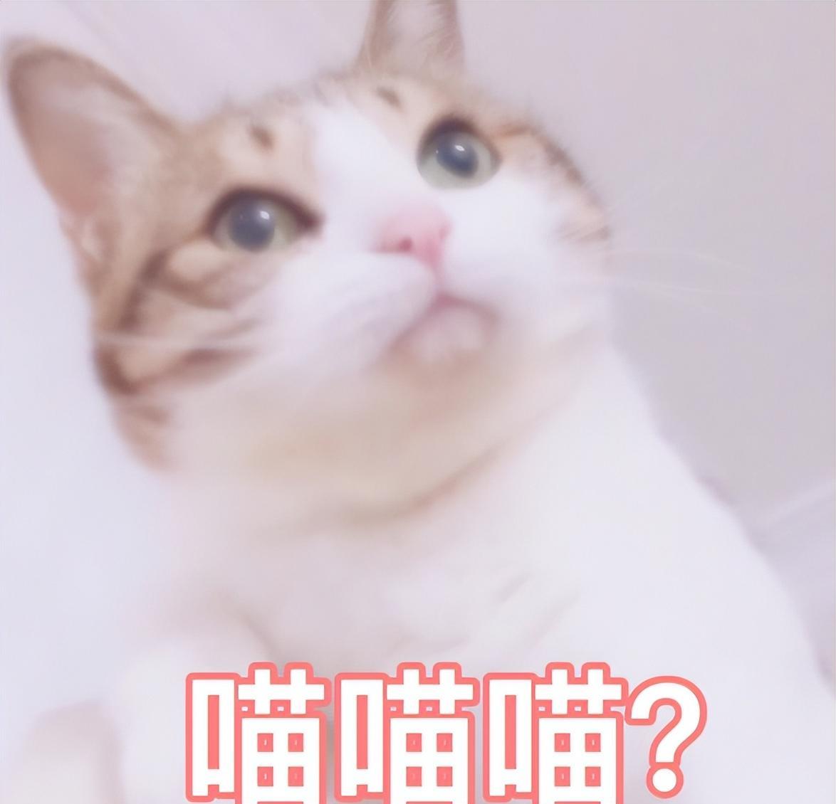 鑺冲績鑽℃季鑻辨枃鎻掓洸,鑺冲績鑽℃季鍘熺増