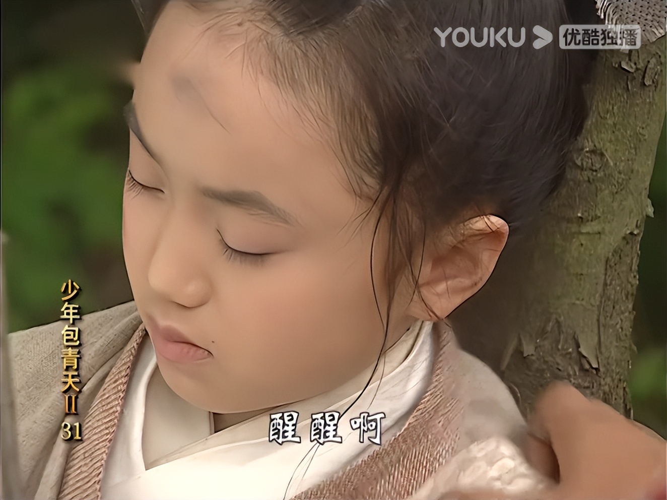 少年展昭大战包青天,少年包青天之展昭大战千年狐妖