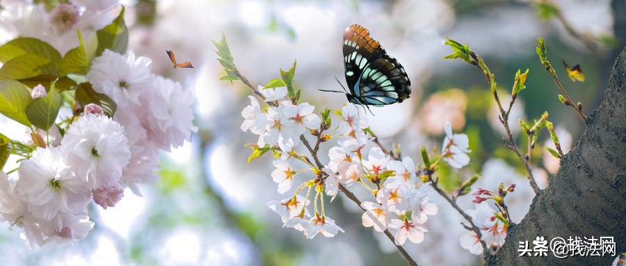 网购不发货怎么投诉,网购工商局投诉电话