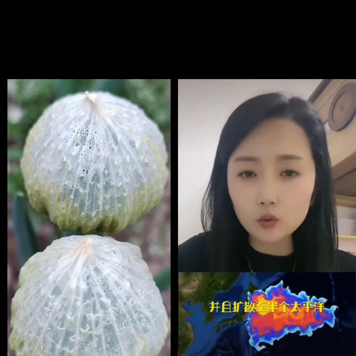 和一起#知道它叫什么吗